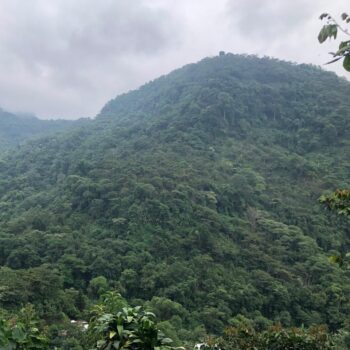The forest mountains of Chiapas region in Mexico. This photo shows densly forested hills, lush with vegetation.