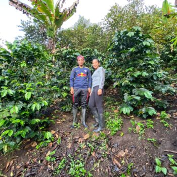 Ecuador Loja Mitad Del Mundo Picture of producers stood in front of coffee trees.