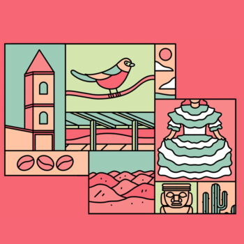 Colombia La Providencia Pink Bourbon artwork by Thomas Howes