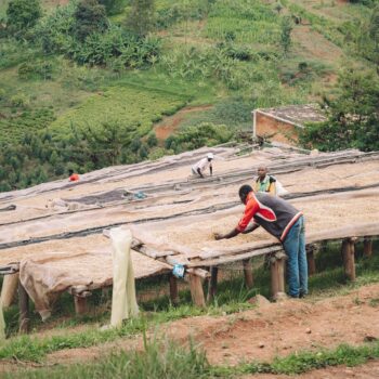 Burundi | Heza | Heza Hills. Stunning views of the drying area of Kayanza